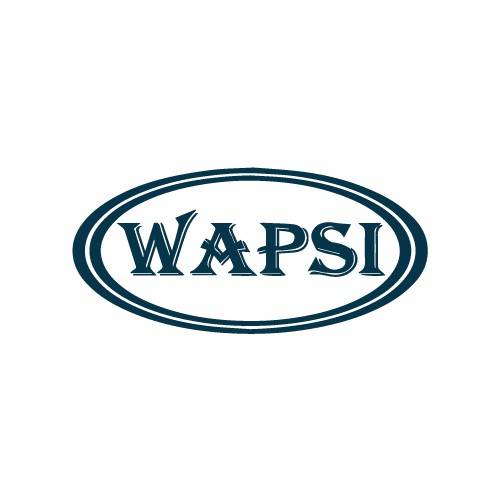 Wapsi