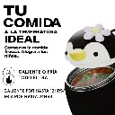 CAPITAN YO (4).webp