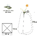 capitanyo (11).webp