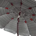 capitanyo (3).webp
