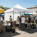 capitanyo (11).webp