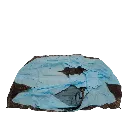capitanyo (16).webp