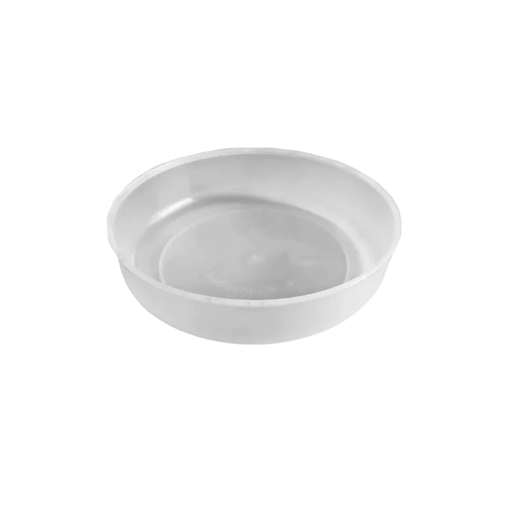capitanyo (11).webp
