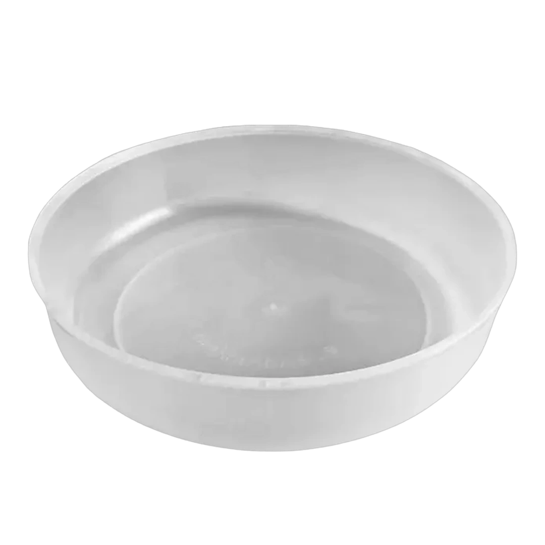 capitanyo (11).webp