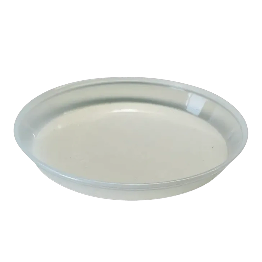 capitanyo (13).webp