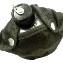 capitanyo (29).webp