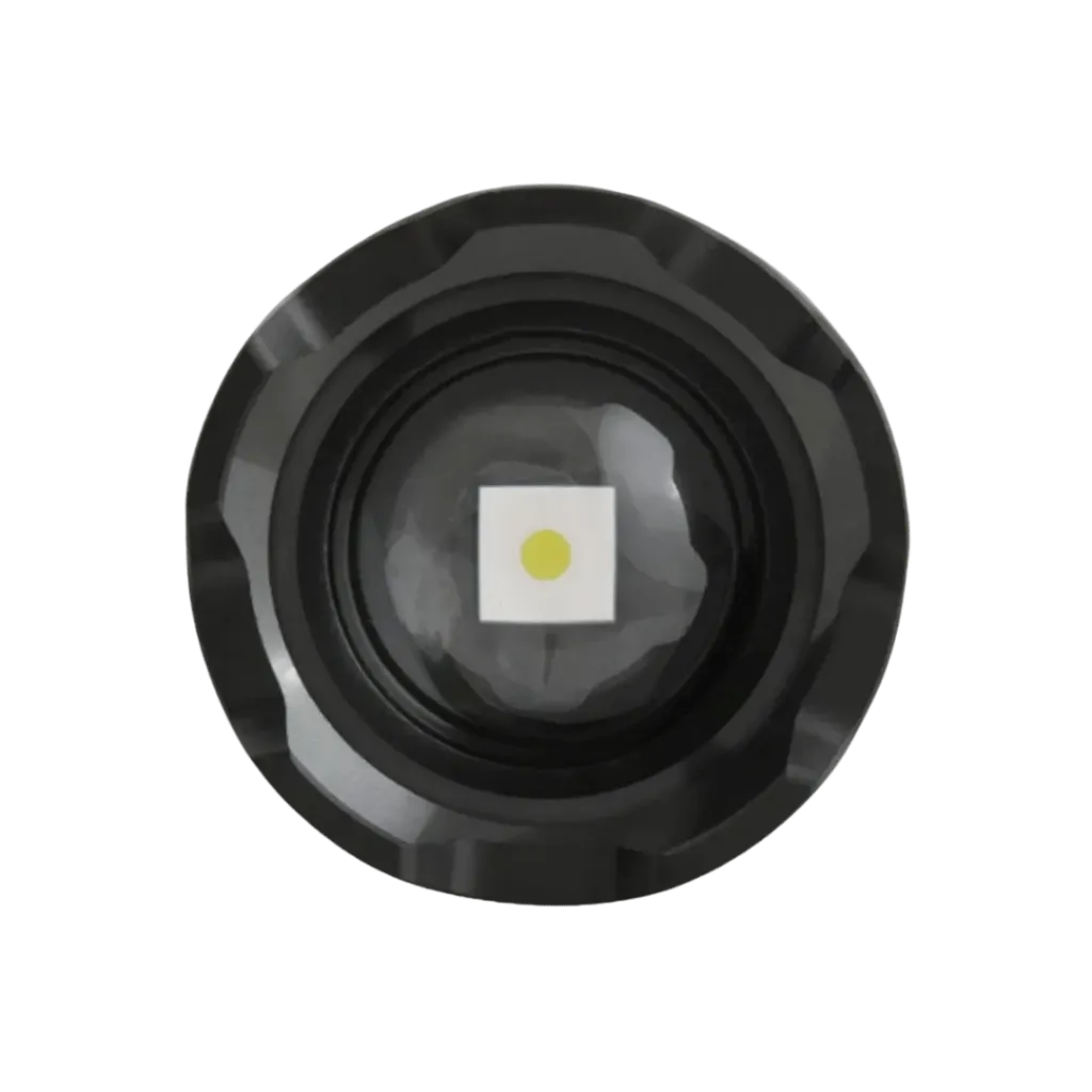 Capitan-yo (55).webp
