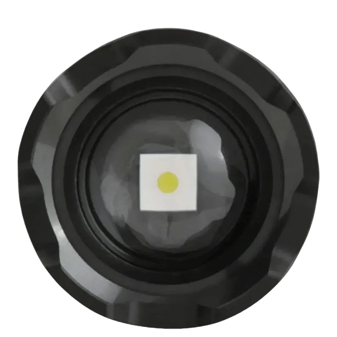 Capitan-yo (55).webp