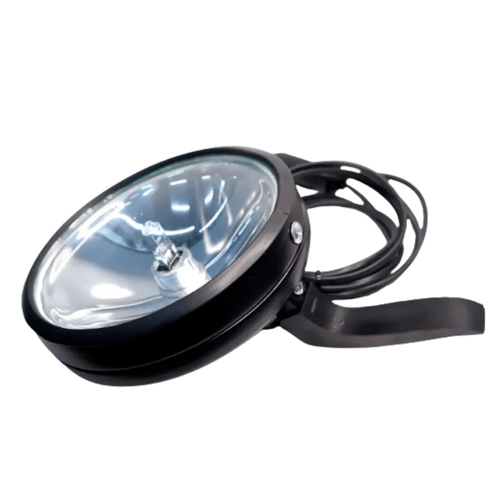 Capitan-yo - 2026-06-26T114619.869.webp