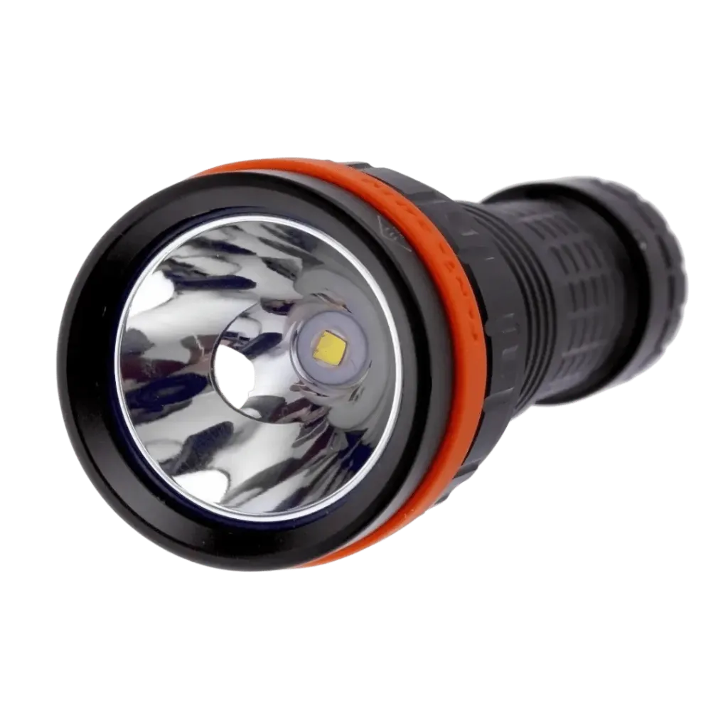Capitan-yo (47).webp
