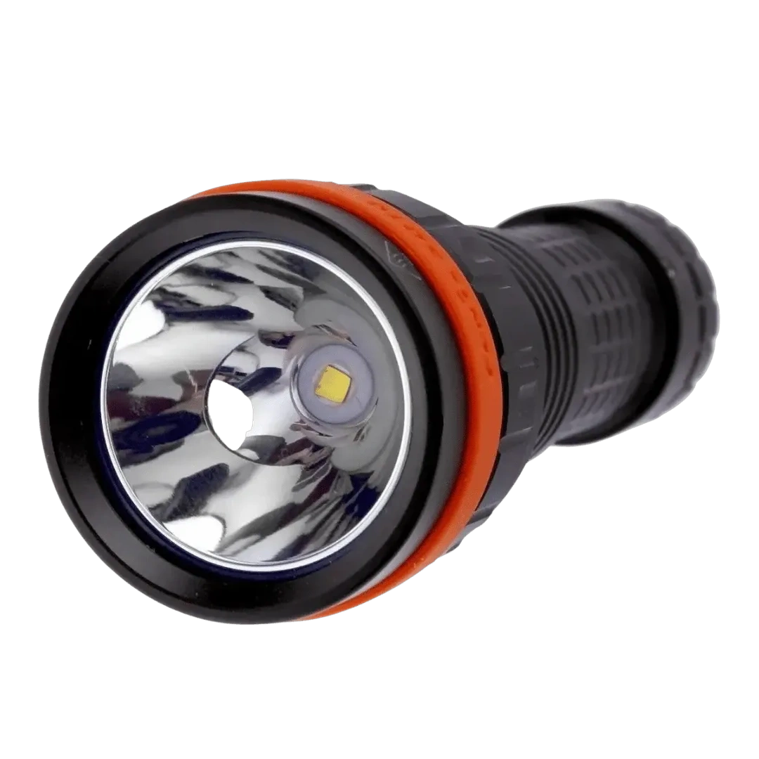 Capitan-yo (47).webp