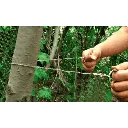 yocapitan (3).webp