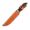capitanyo (15).webp