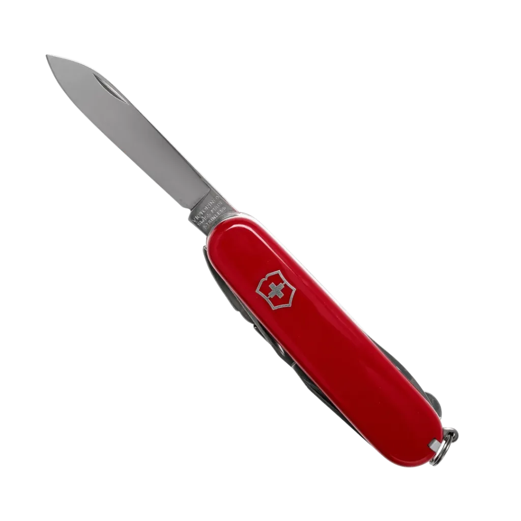 capitanyo (77).webp