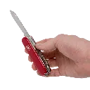 capitanyo (78).webp