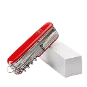 capitanyo (81).webp