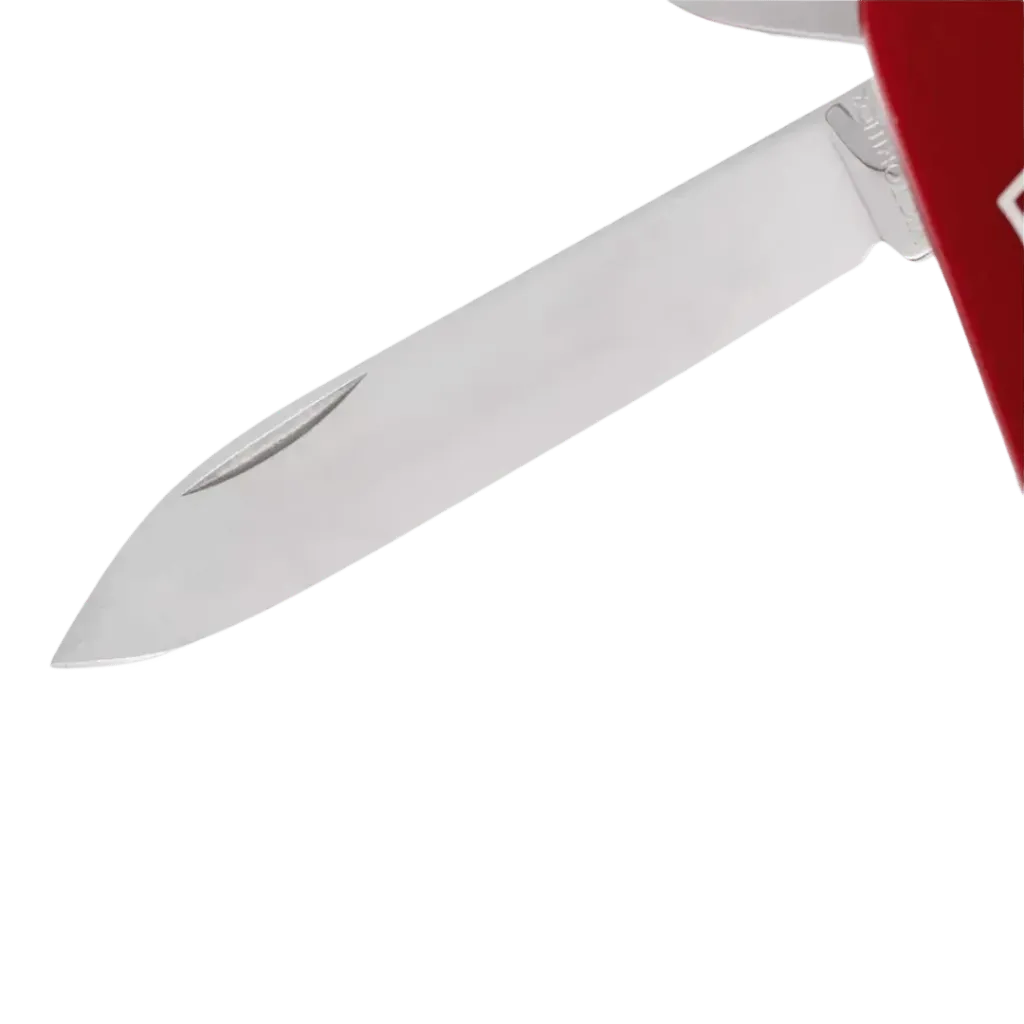 capitanyo (84).webp