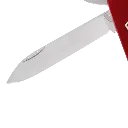 capitanyo (84).webp