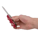 capitanyo (93).webp