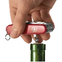 capitanyo (94).webp