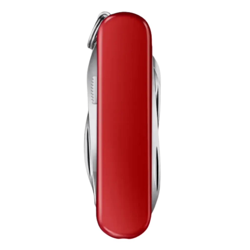 CAPITAN-YO (38).webp