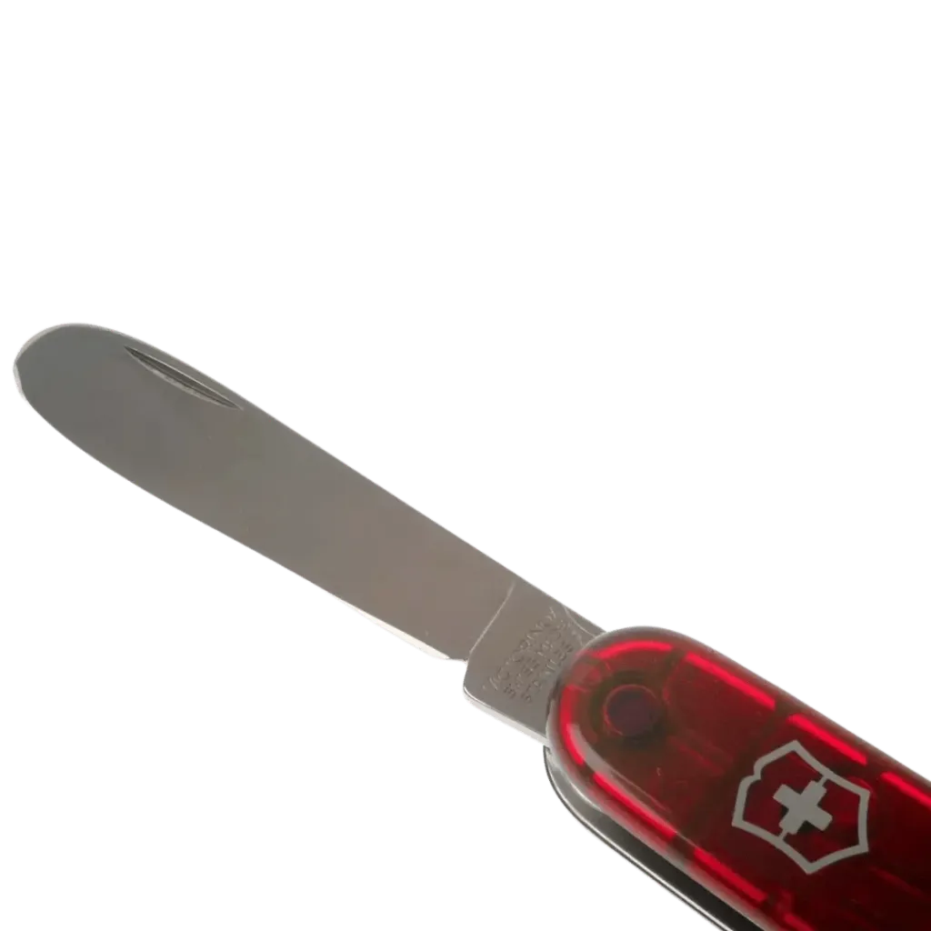 CAPITAN-YO (46).webp