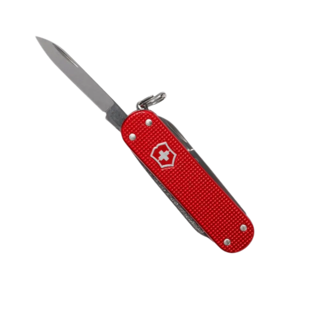 CAPITAN-YO (63).webp