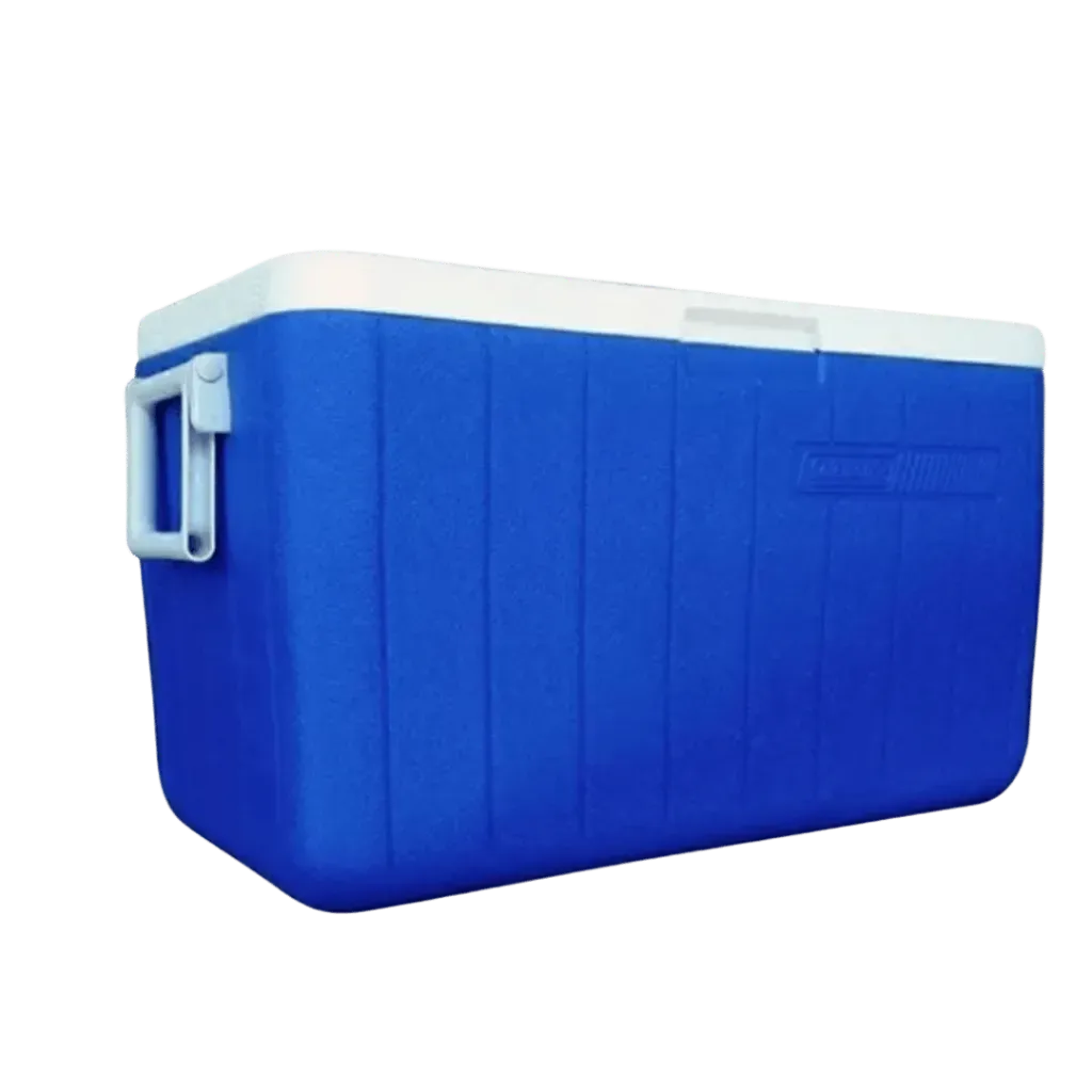 capitanyo (7).webp