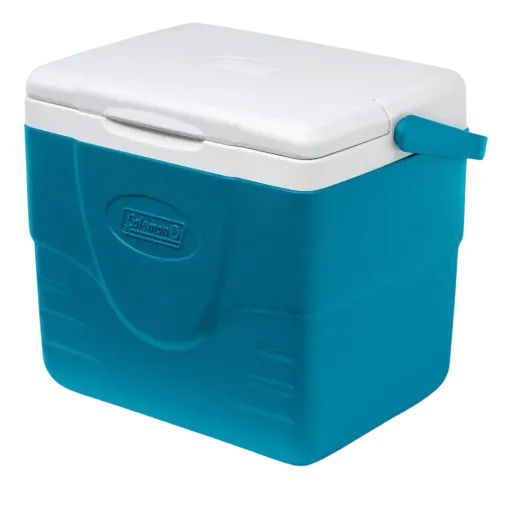 CAPITAN YO (7).webp