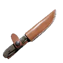 capitanyo (3).webp