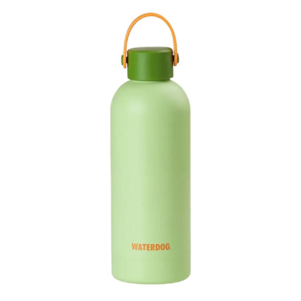 capitanyo (37).webp